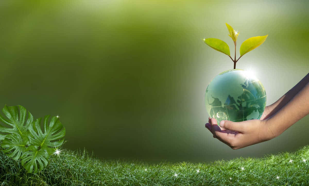 Green Finance Concept With Hands Planting Money Tree Wallpaper