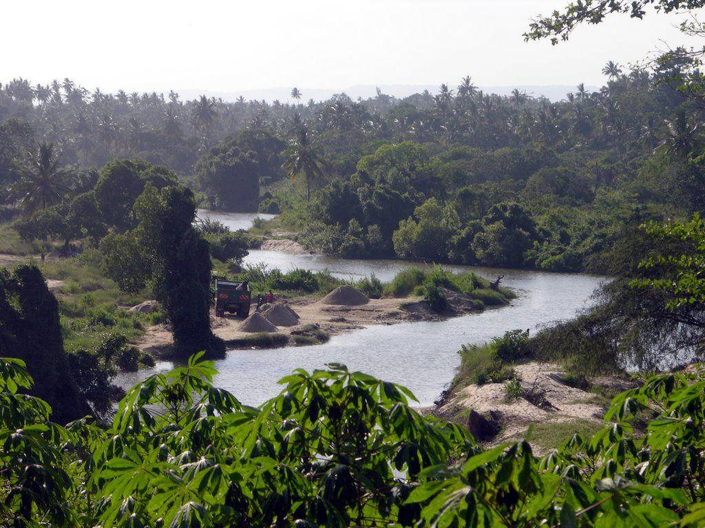 Green Forest And Stream Congo Wallpaper