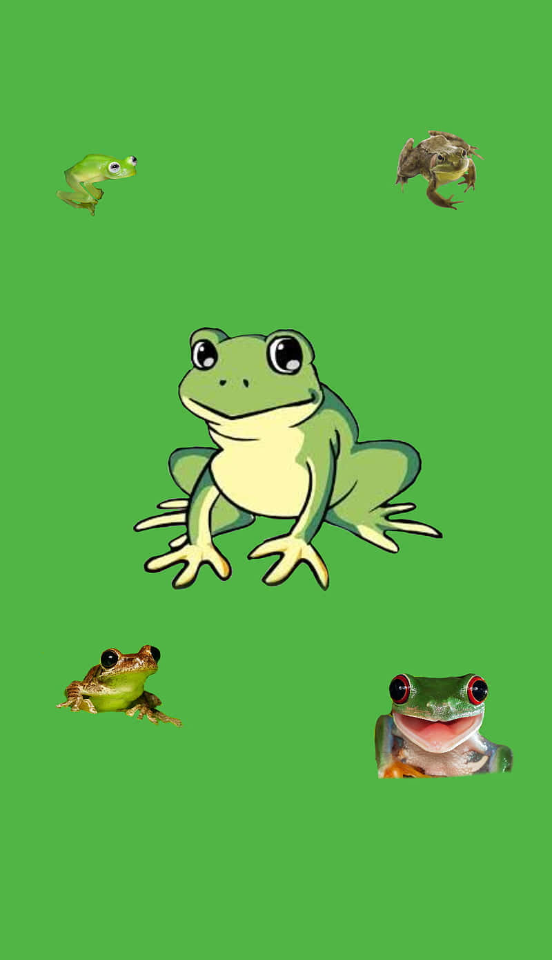 Green Frog Collagei Phone Wallpaper Wallpaper