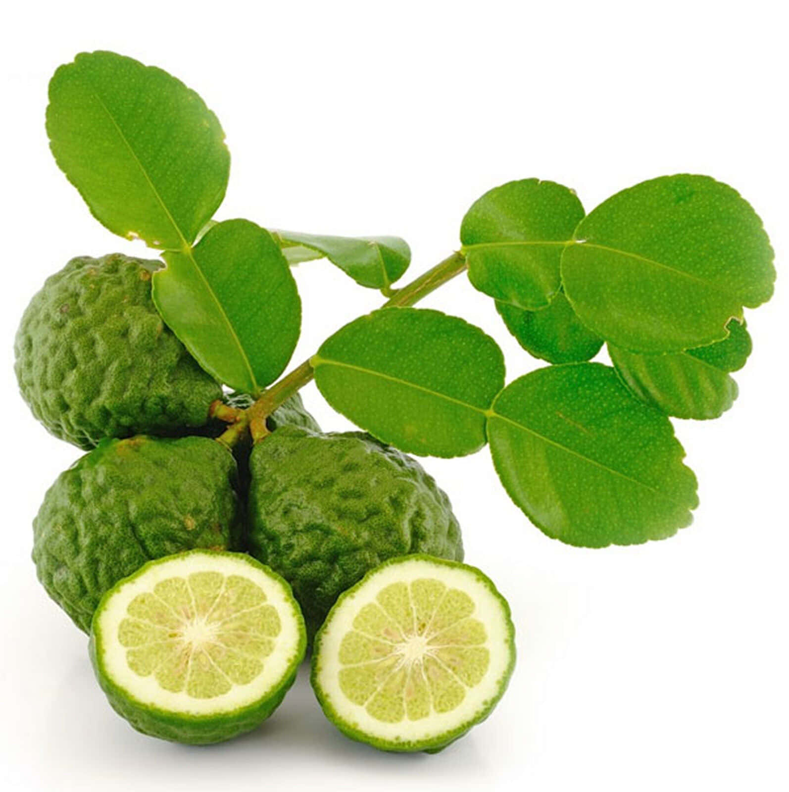 Green Kaffir Lime Tropical Fruit Wallpaper