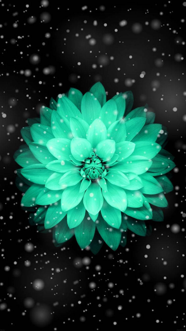 Green Lotus Pretty Phone Wallpaper