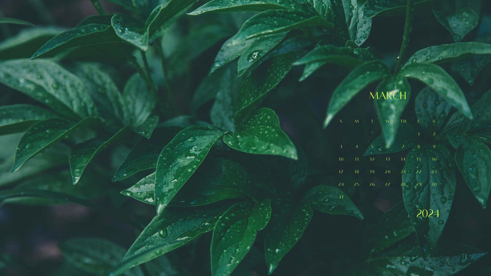 Green March Leaves Calendar2021 Wallpaper