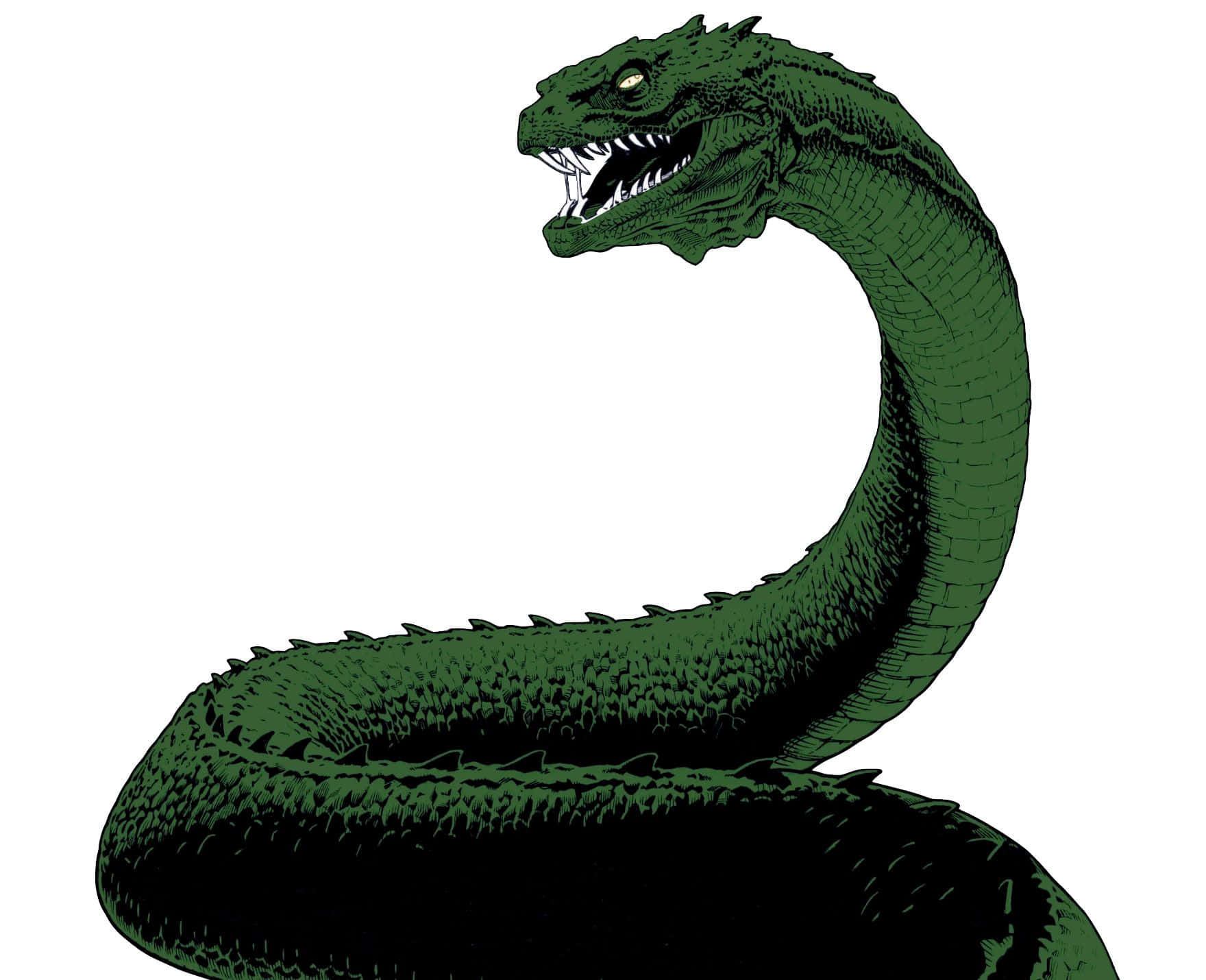 Green Serpent Illustration Wallpaper