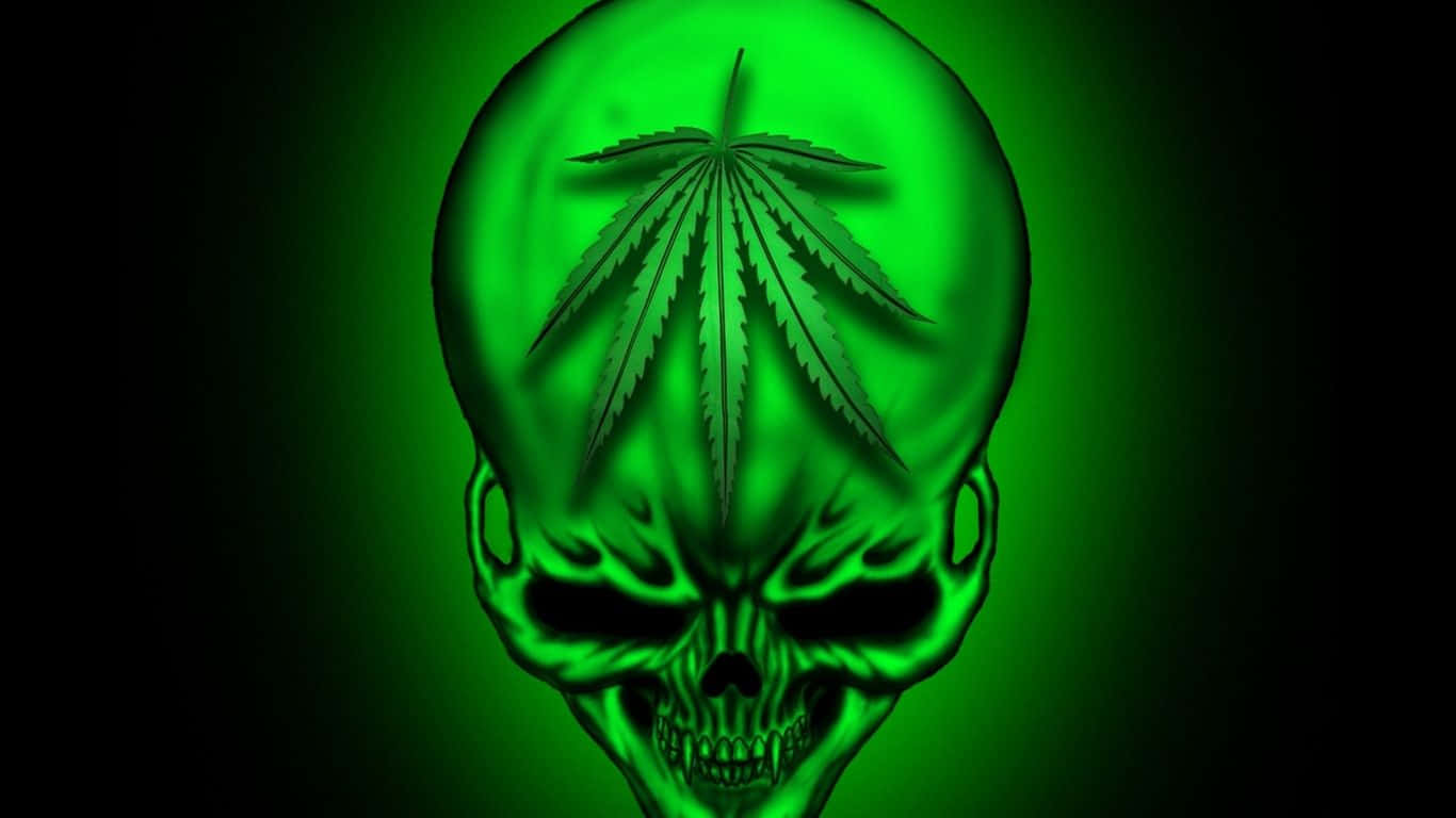 Green Skull Wallpaper Hd Wallpaper