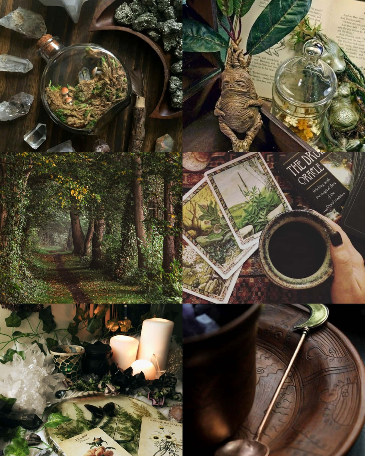 Green Witch Aesthetic Collage Wallpaper