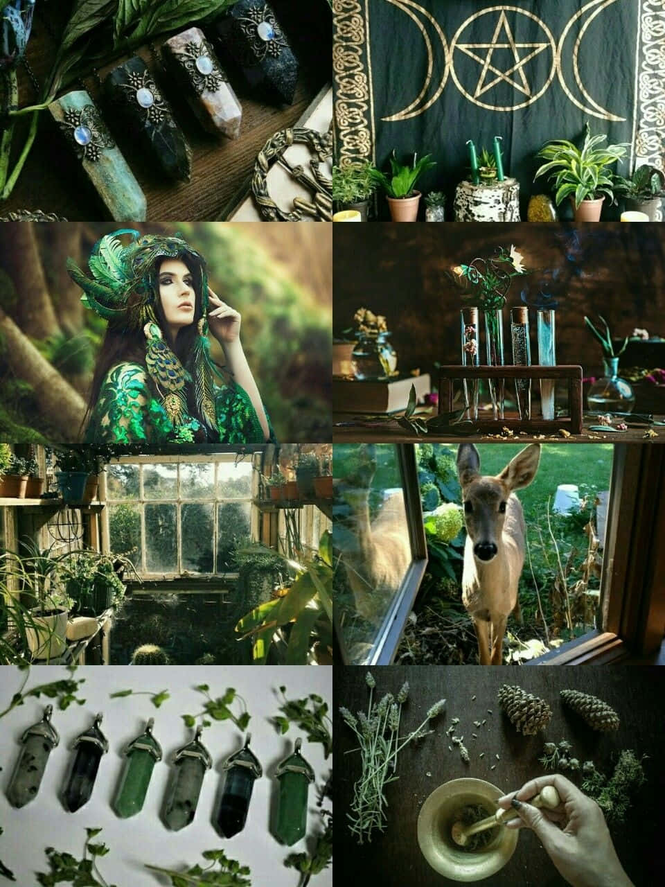 Green Witch Aesthetic Collage.jpg Wallpaper