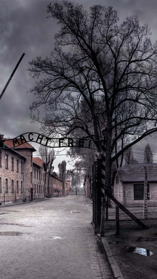 Grief-riddled Remnant Of Auschwitz Concentration Camp Gate Wallpaper