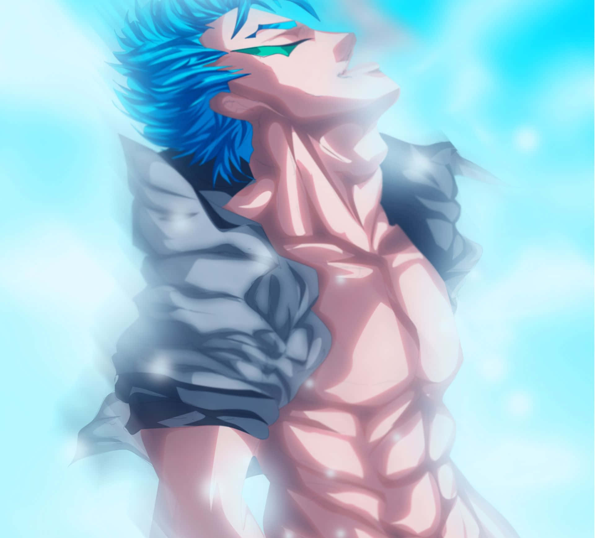 Grimmjow Jaegerjaquez, The Well-known Bleach Character Wallpaper