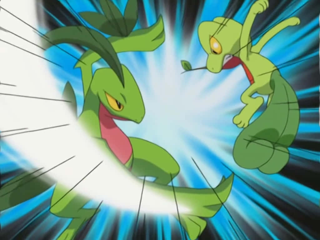 Grovyle Fighting Treecko Wallpaper