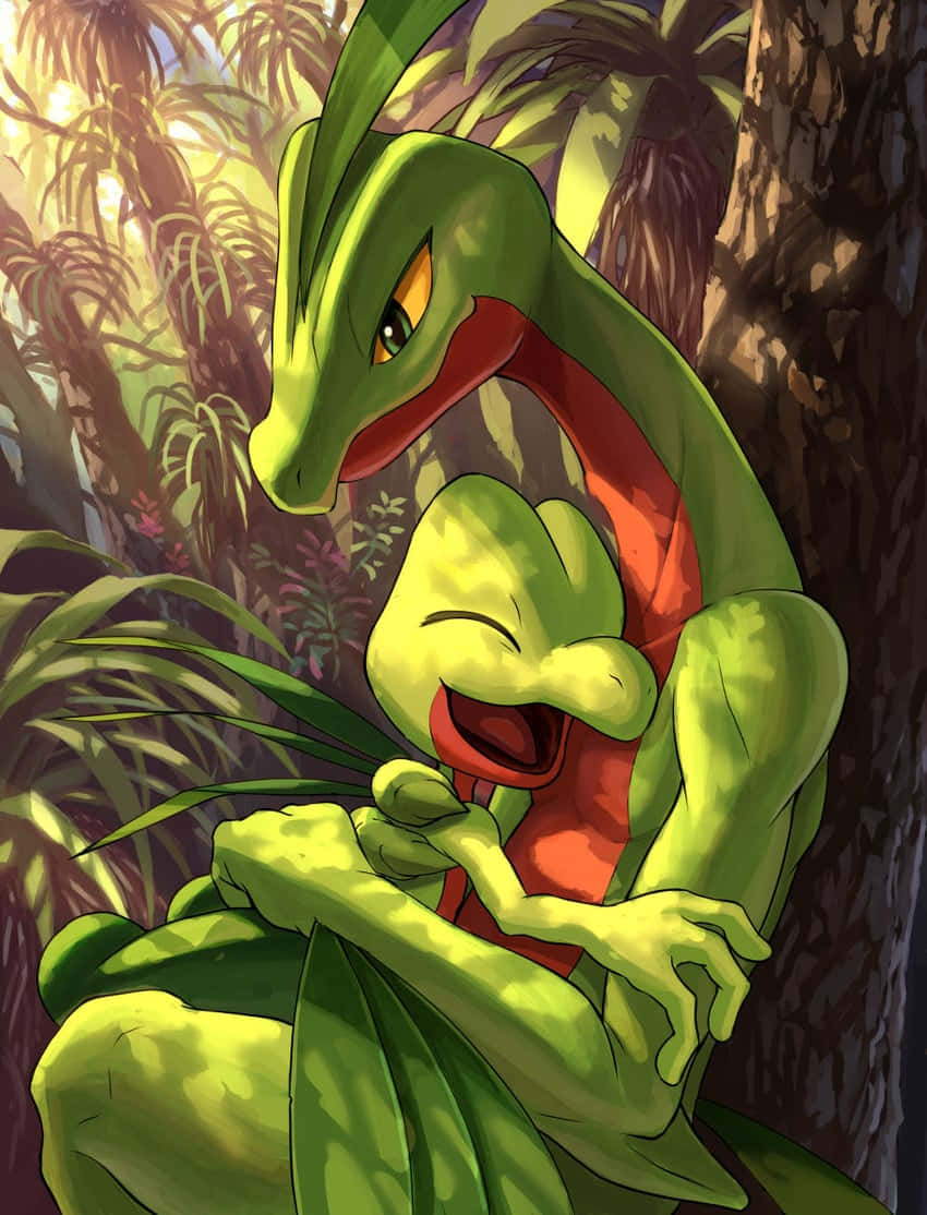 Grovyle Hugging Treecko Wallpaper