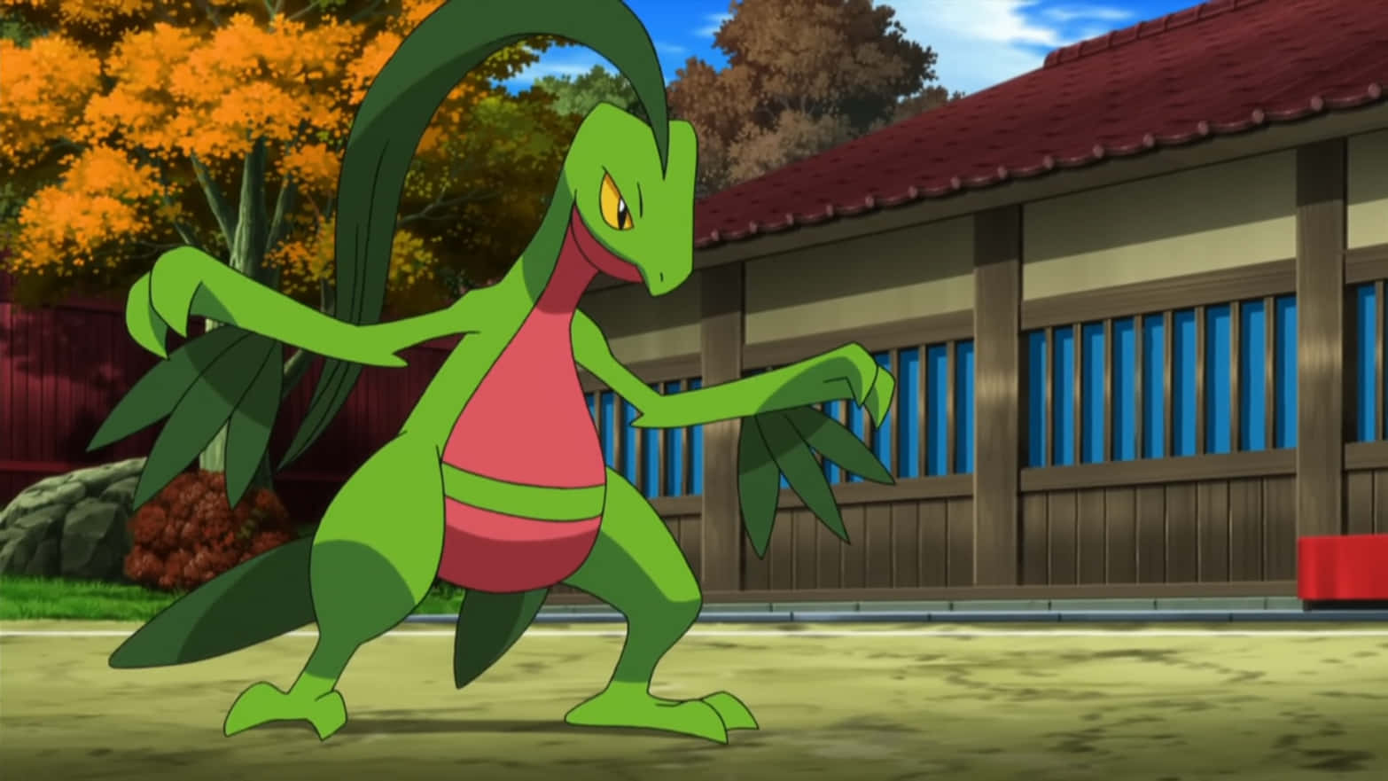 Grovyle In Anime Wallpaper