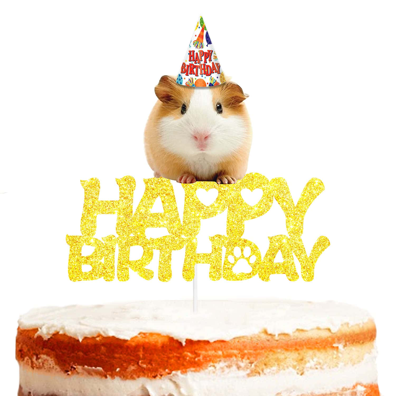 Guinea Pig Birthday Celebration Wallpaper