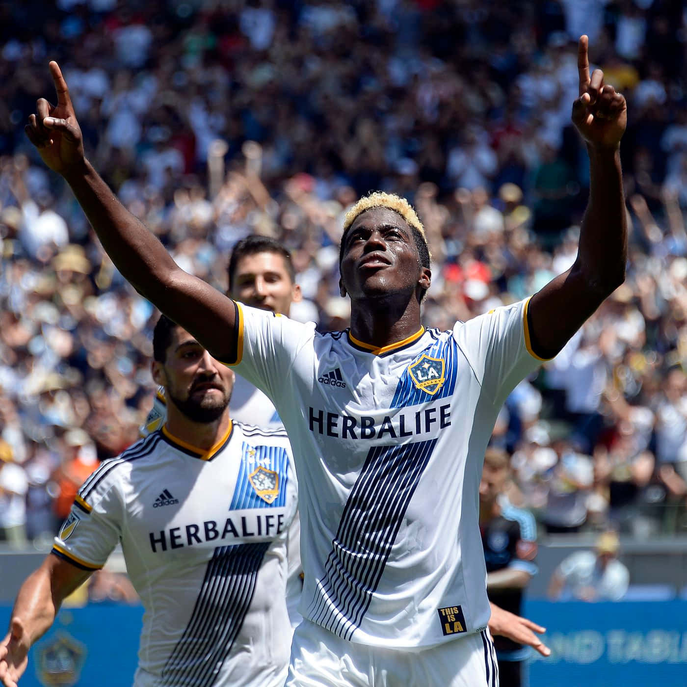 Gyasi Zardes Celebrates Against New England Revolution Wallpaper