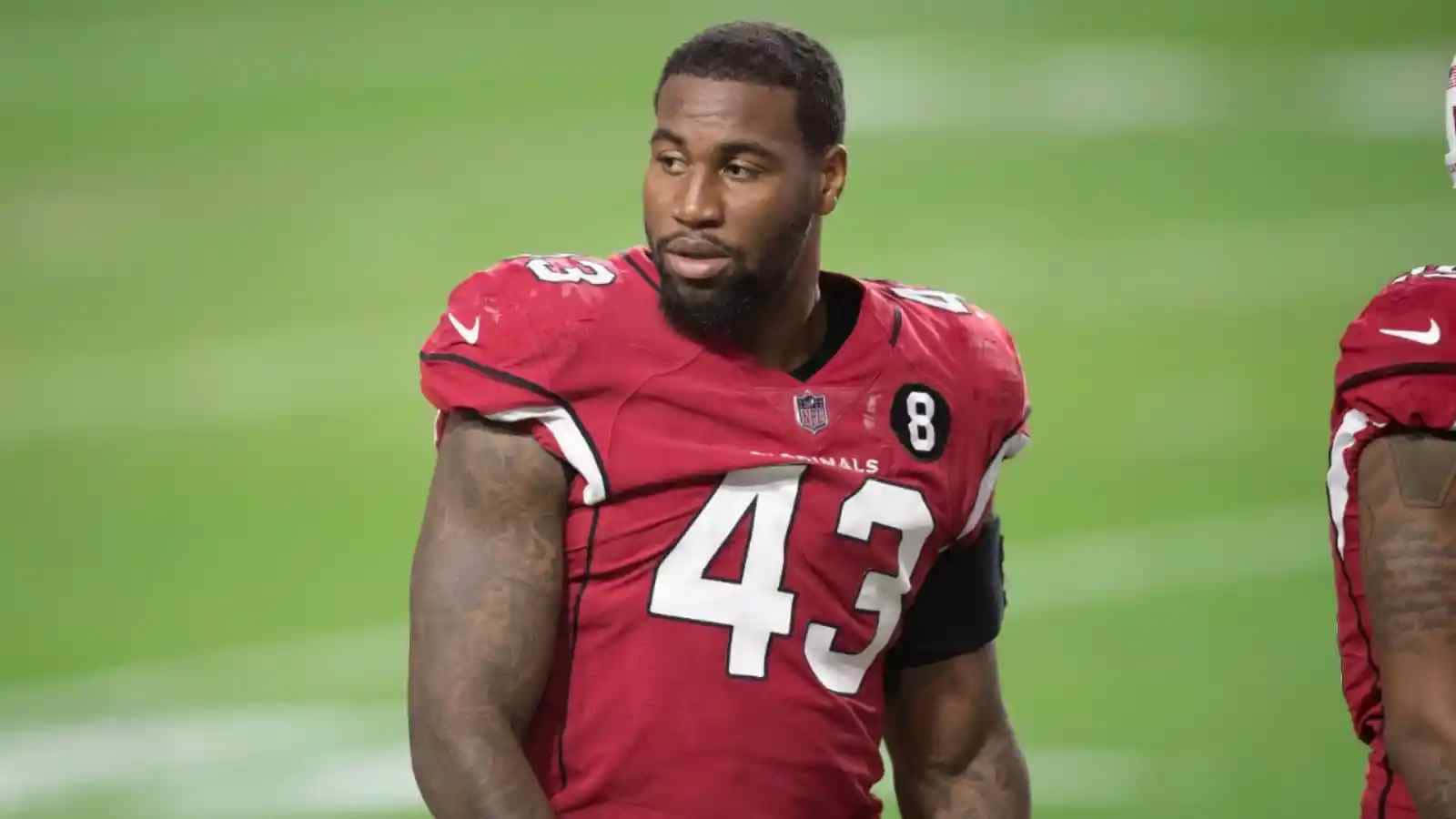 Haason Reddick Arizona Cardinals Linebacker Wallpaper