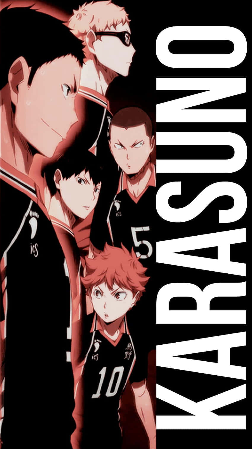 Haikyuu Karasuno Team Portrait Wallpaper