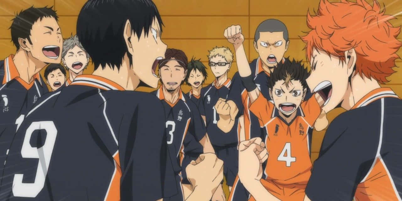 Haikyuu Team Celebration Anime Wallpaper