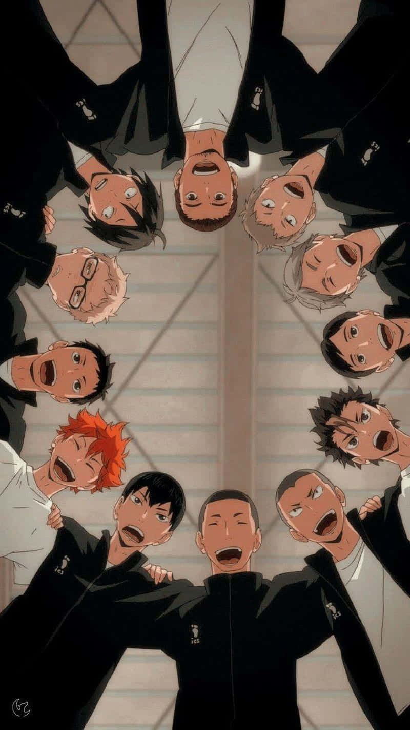 Haikyuu Team Circle Wallpaper