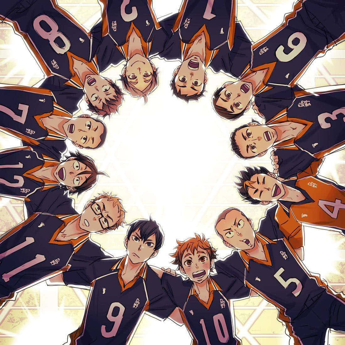 Haikyuu Team Circle Wallpaper