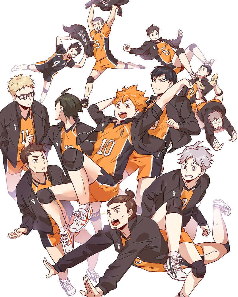 Haikyuu Team Karasuno Dynamic Pose Wallpaper