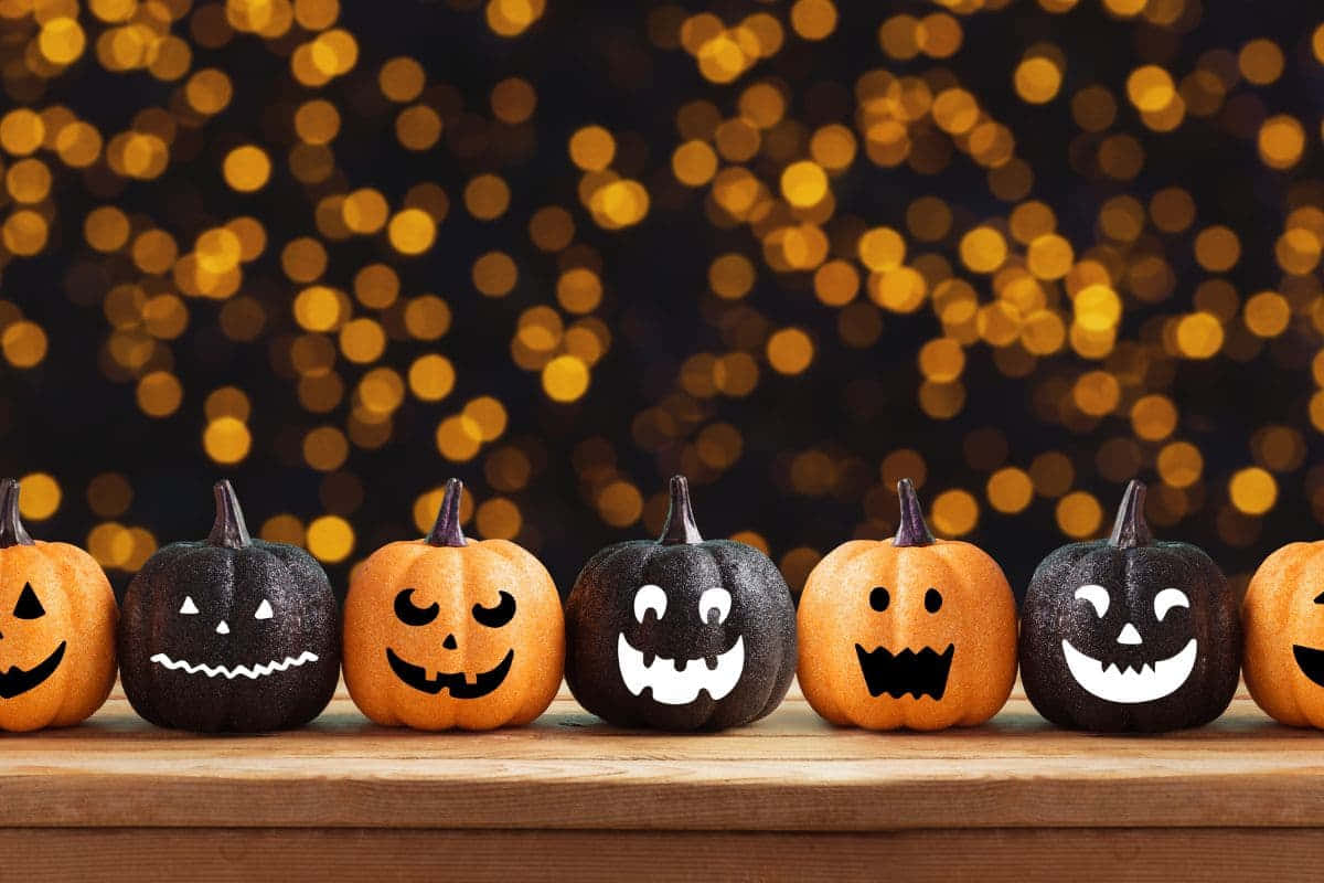 Halloween Pumpkin Lineup Wallpaper