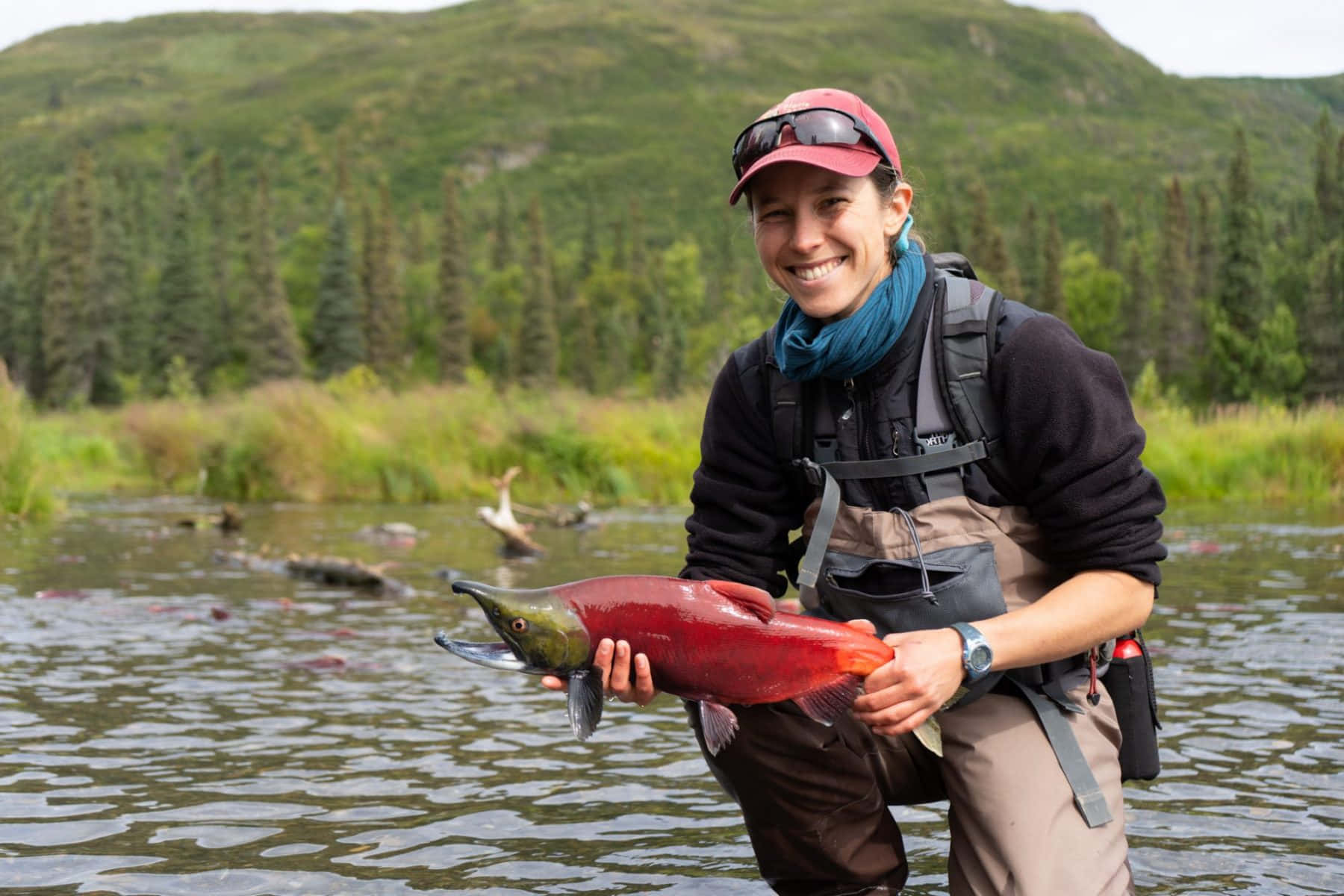 Happy Anglerwith Red Pacific Salmon Wallpaper