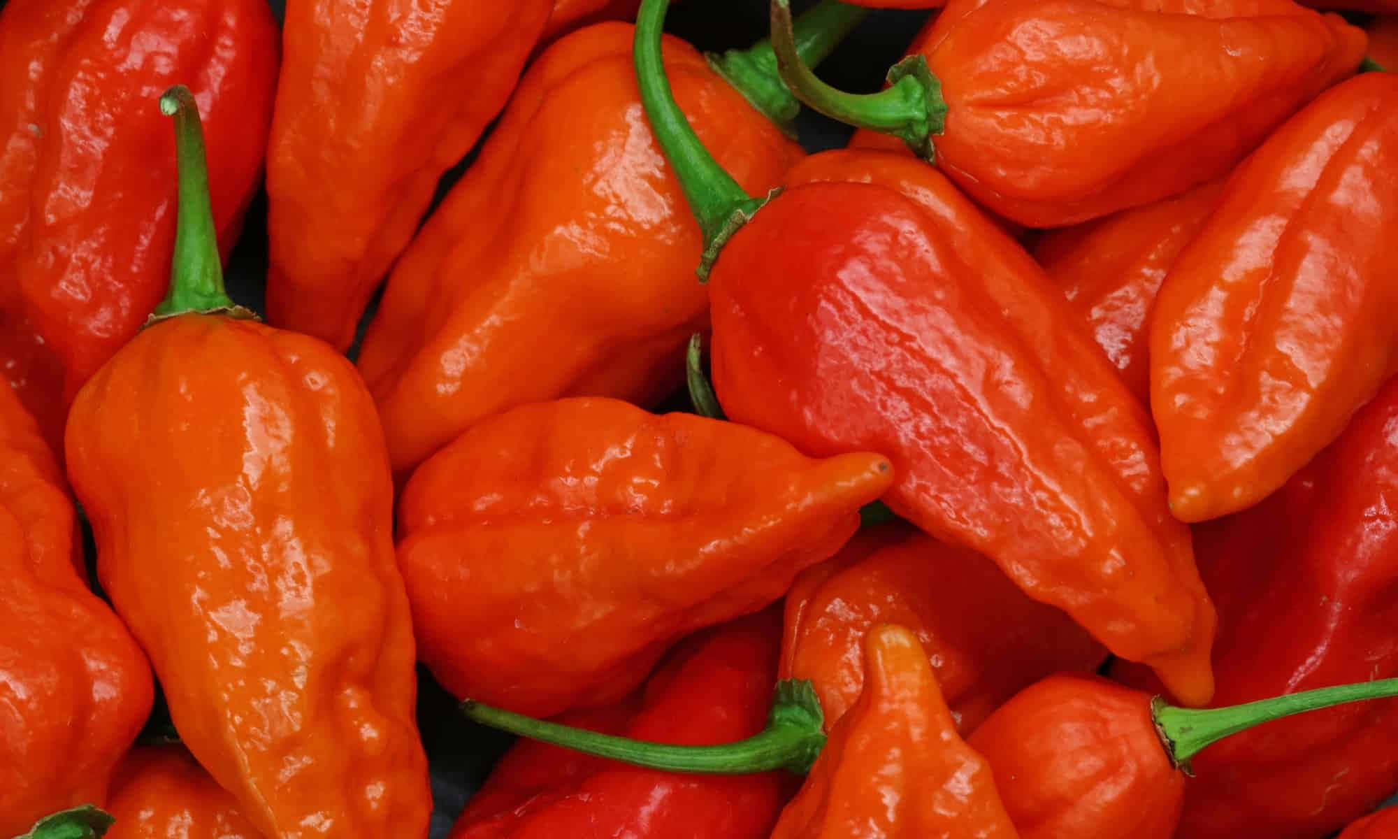 Harness The Power Of The Ghost Pepper!