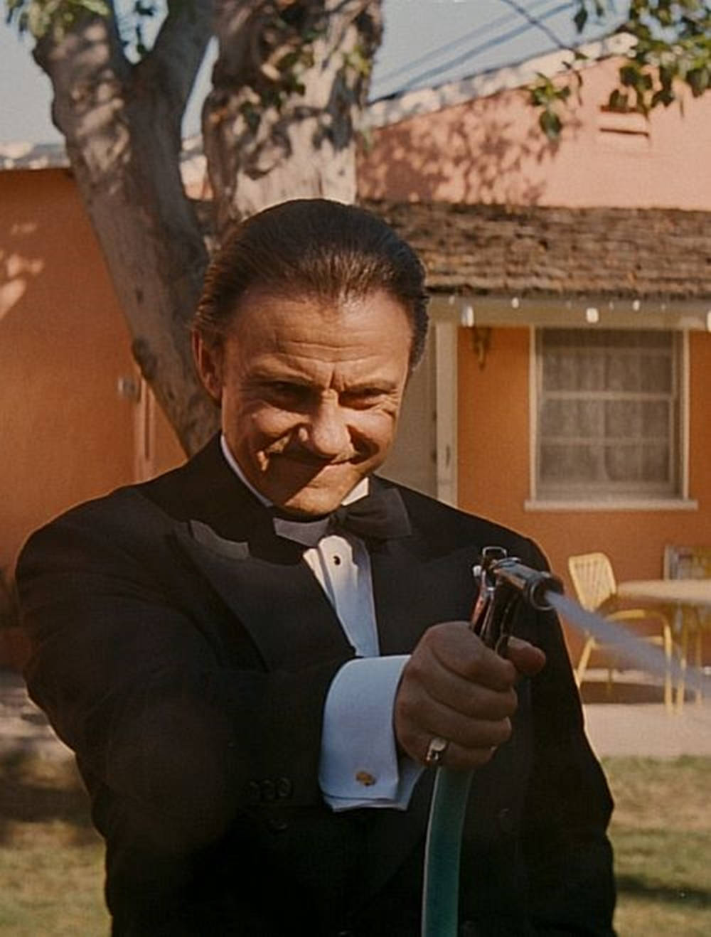 Harvey Keitel Sly Smirk Wallpaper