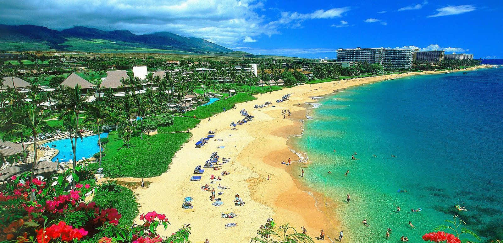 Hawaii Beach People On Vacation Wallpaper