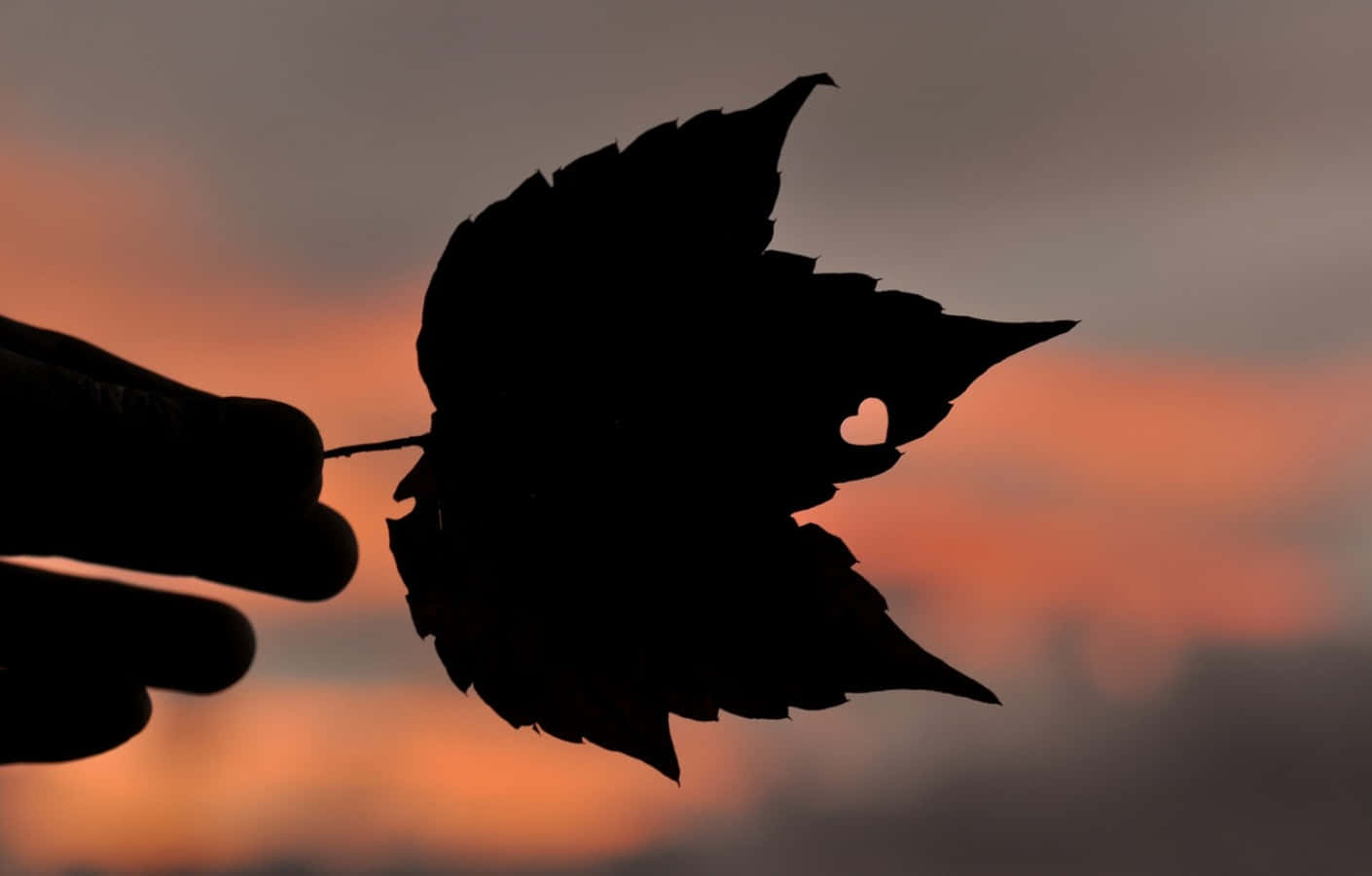 Heart Silhouette On A Red Background Wallpaper