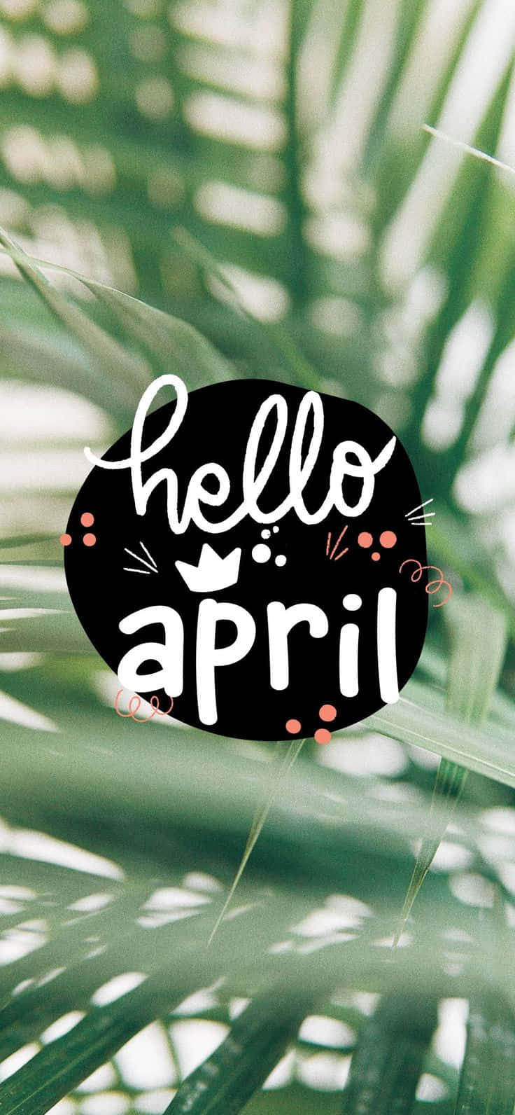 Hello April Green Palm Leaves Wallpaper