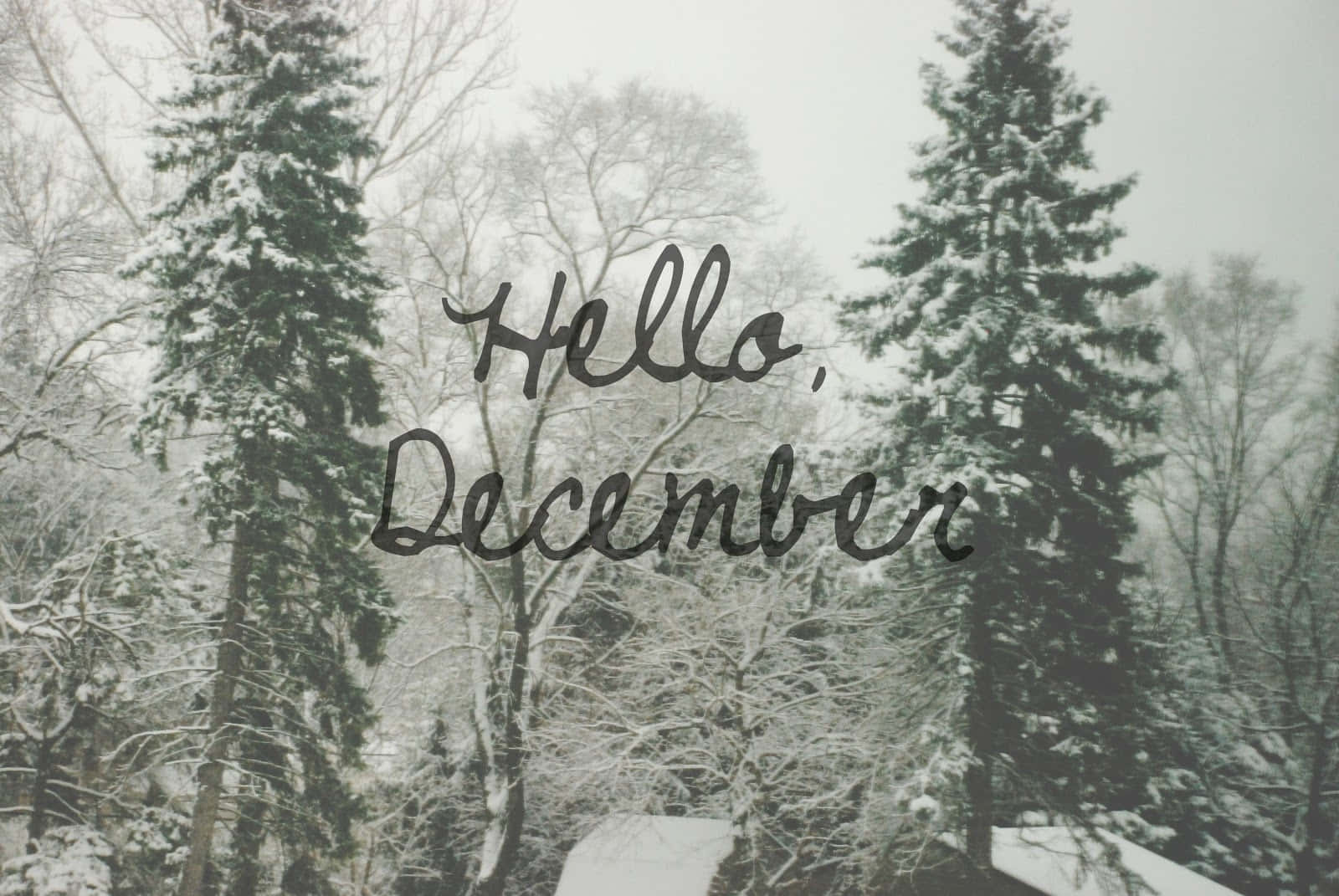 Hello December Winter Scene Wallpaper