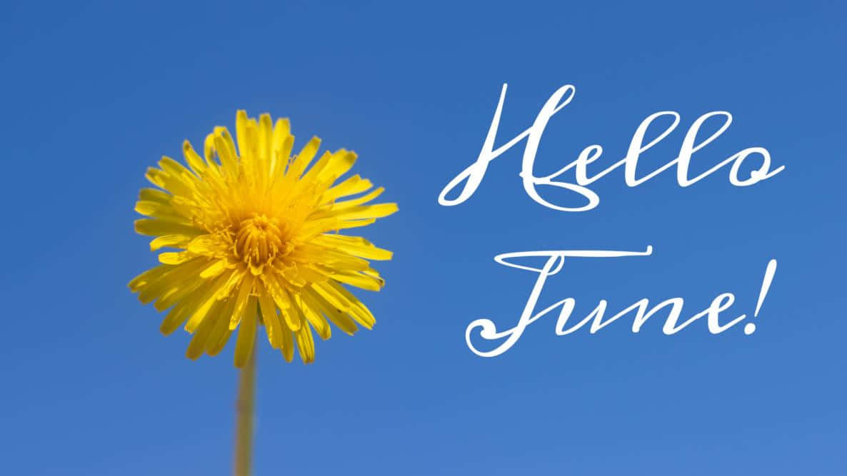 Hello June Yellow Dandelion Blue Sky Wallpaper