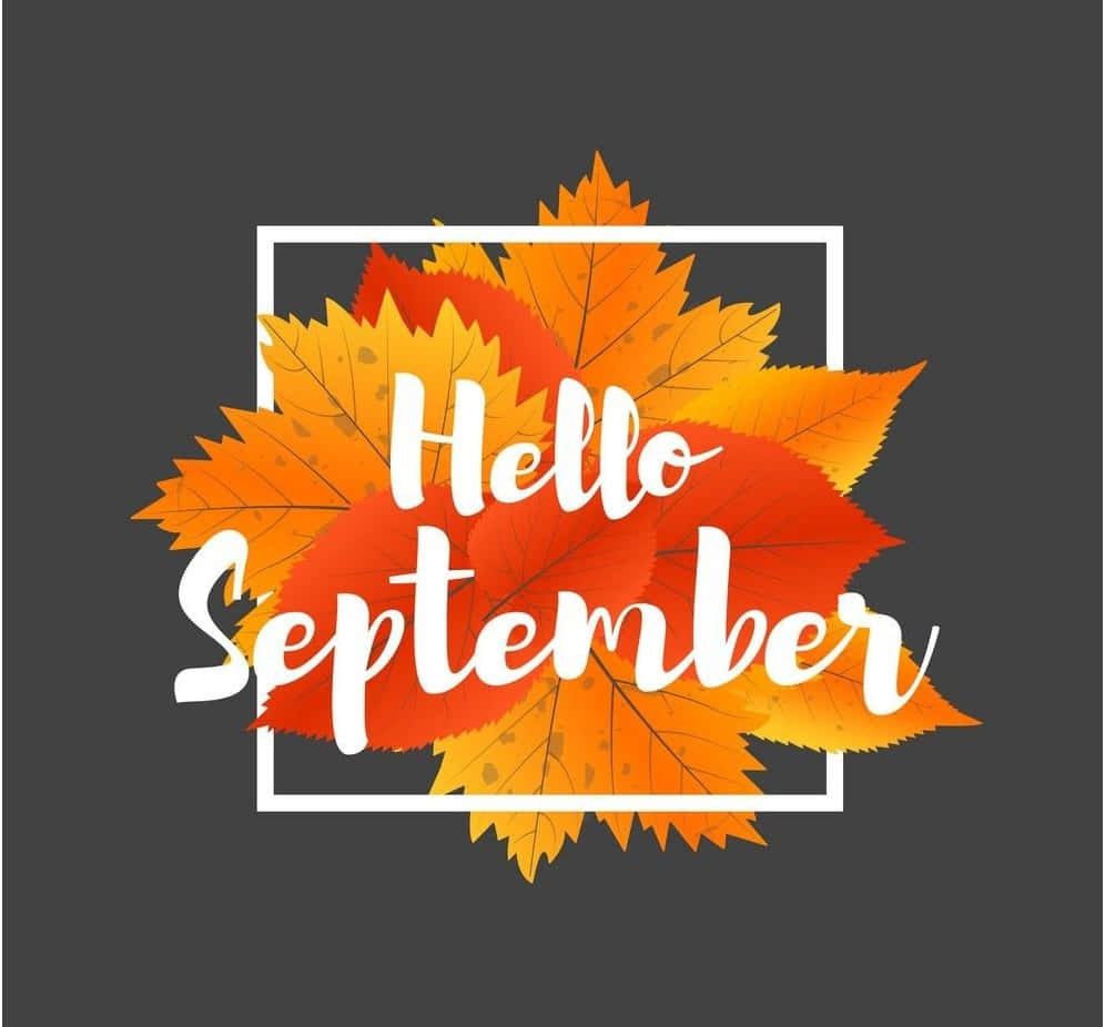 Hello September Autumn Leaves Graphic Wallpaper