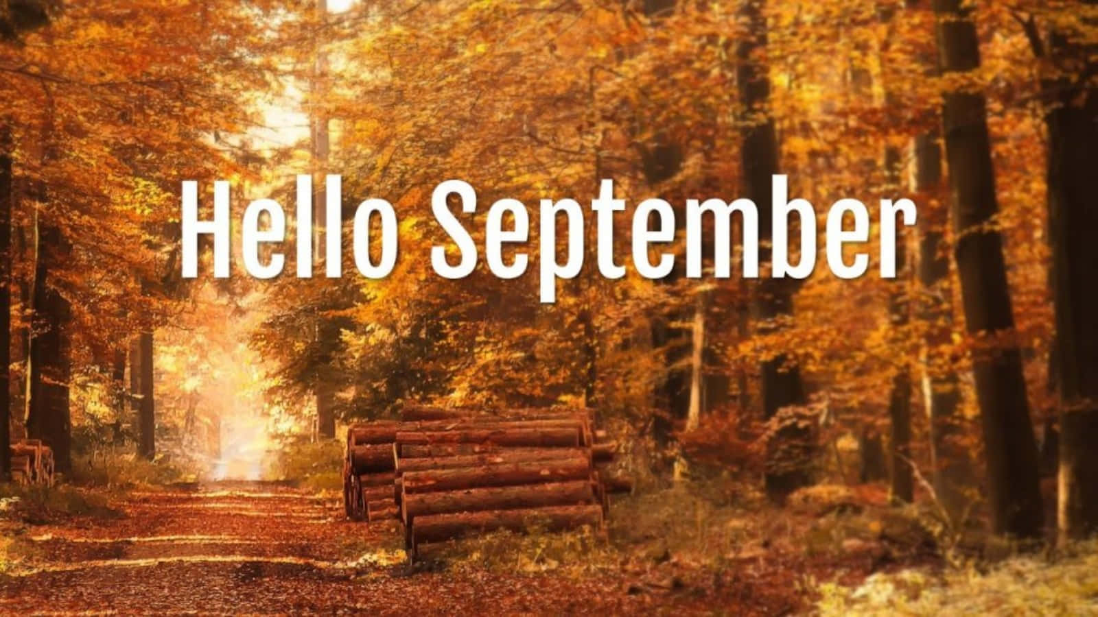 Hello September Fall Forest Path Wallpaper