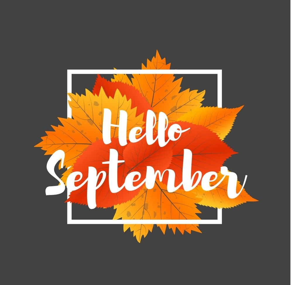 Hello September Fall Leaves Greeting Wallpaper