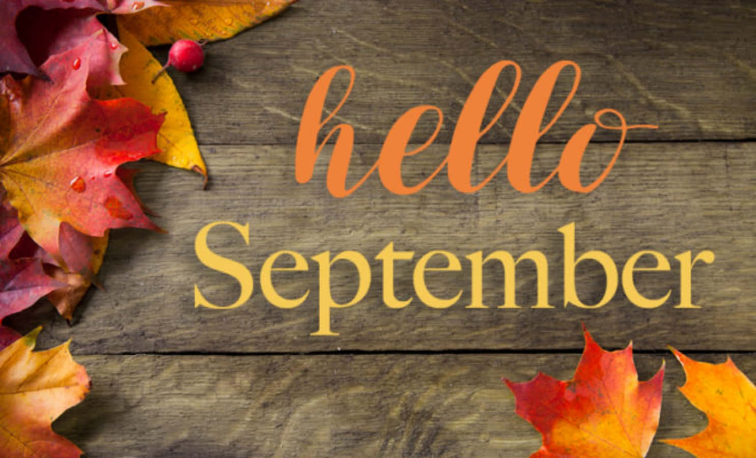 Hello September Wooden Greeting Wallpaper