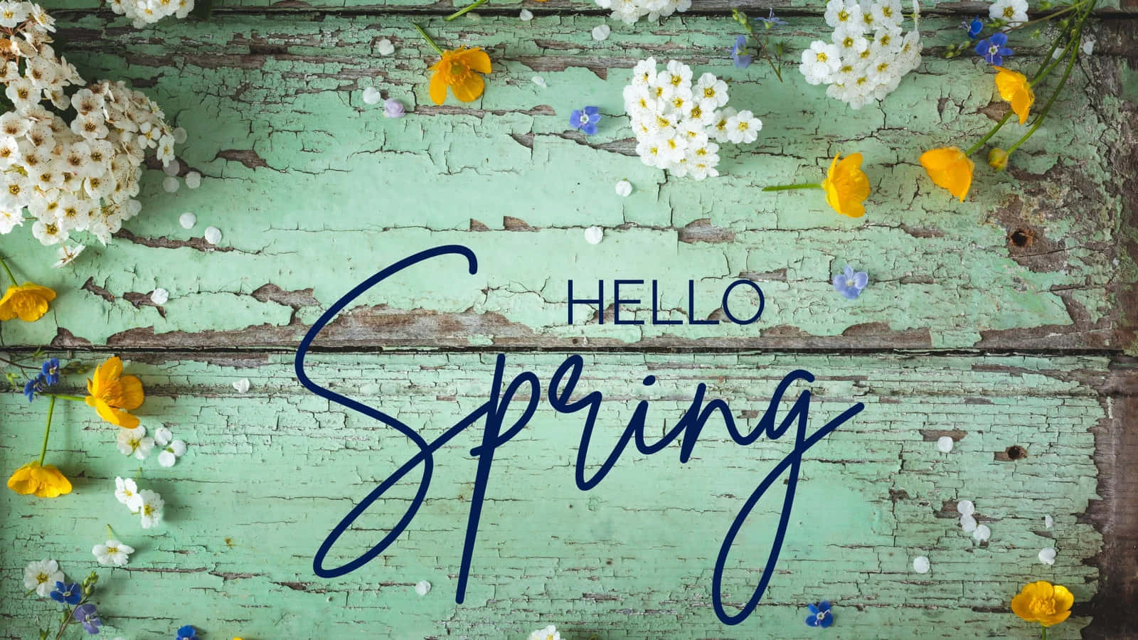 Hello Spring Floral Backdrop Wallpaper