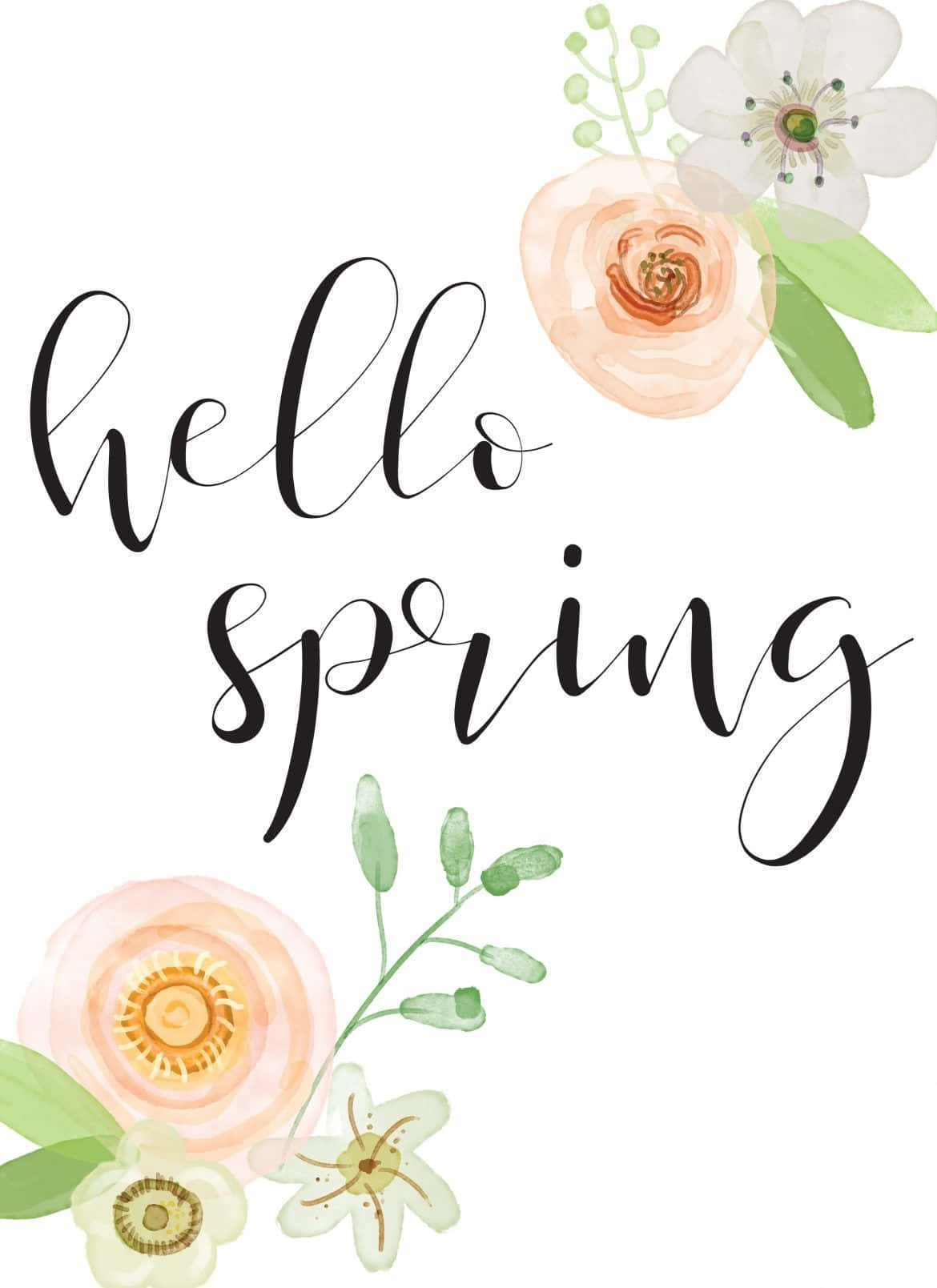 Hello Spring Floral Greeting Wallpaper