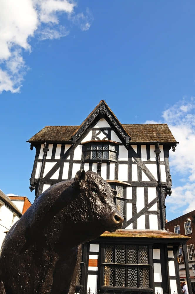 Hereford Bull Statue Tudor Building Wallpaper