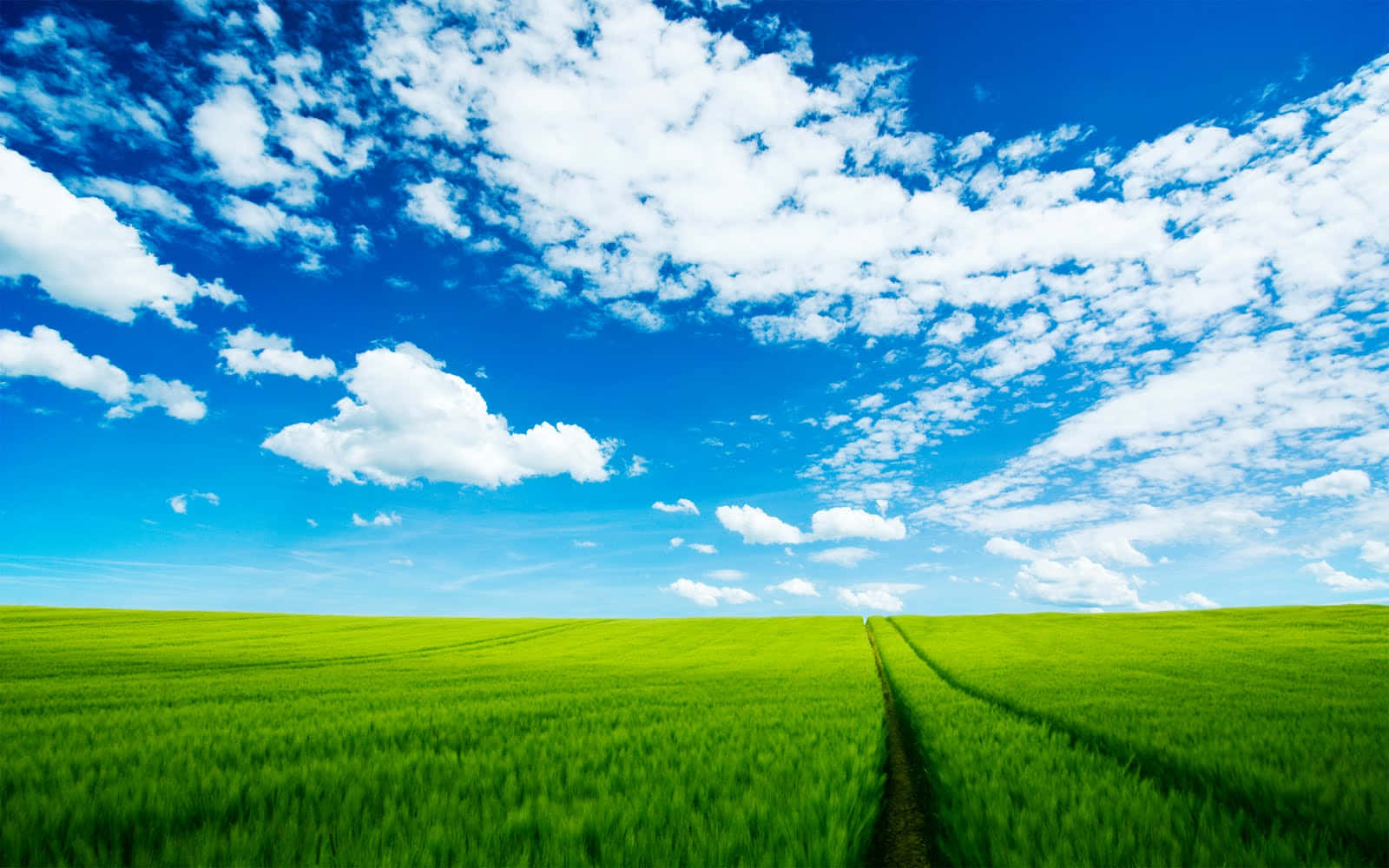 Hi Res Sky And Grass Land Wallpaper