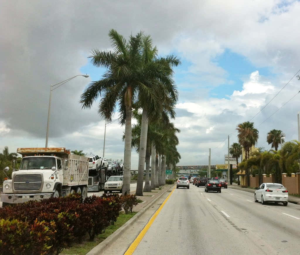 Hialeah Street Scenewith Palm Trees Wallpaper