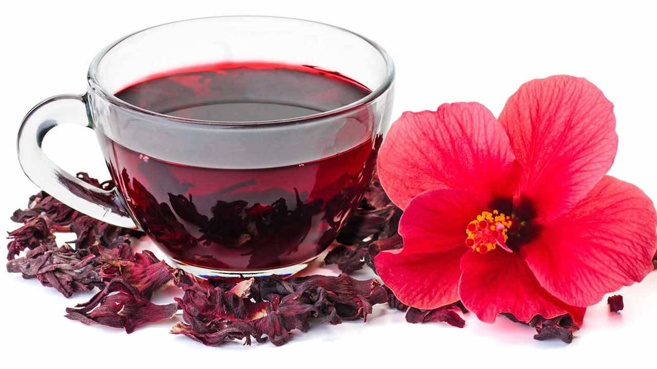 Hibiscus Tea Wallpaper