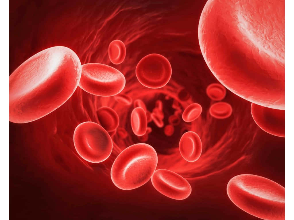 High-resolution Close-up Of Red Blood Cells In Action Wallpaper