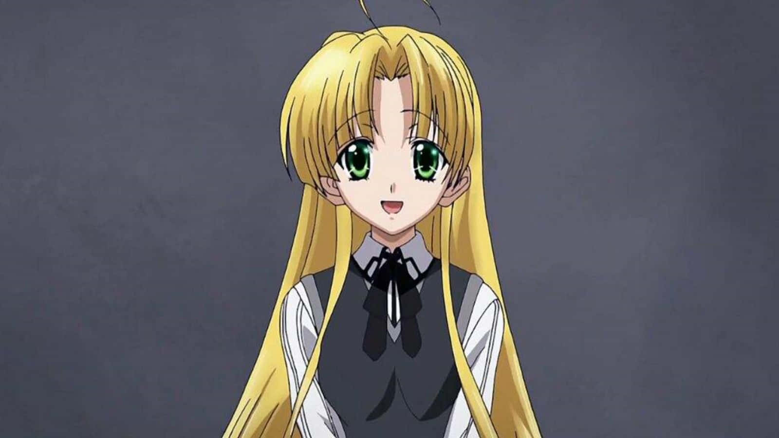 Highschool Dx D Asia Argento Anime Character Wallpaper