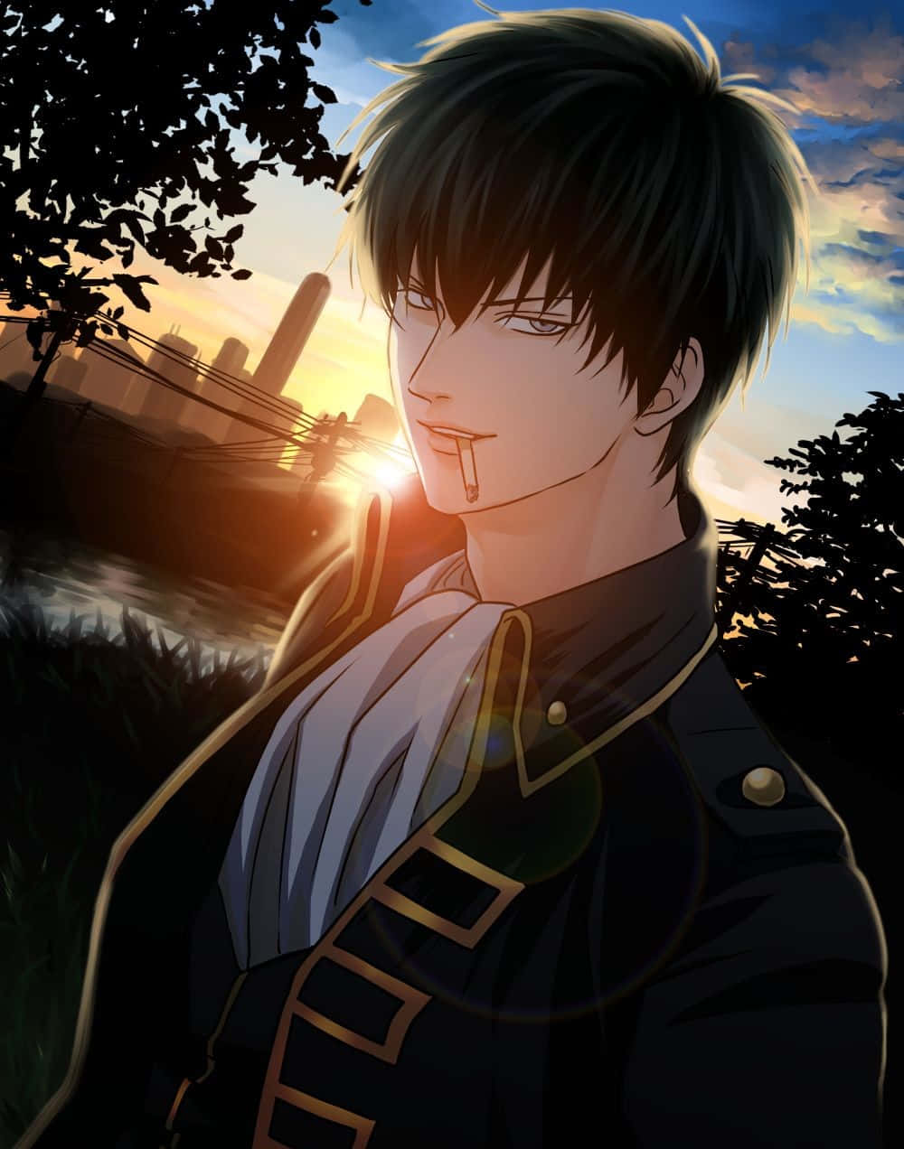 Hijikata Toshiro Sunset Portrait Wallpaper