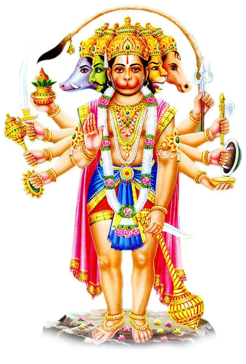 Hindu Deity Panchmukhi Hanuman In White Wallpaper