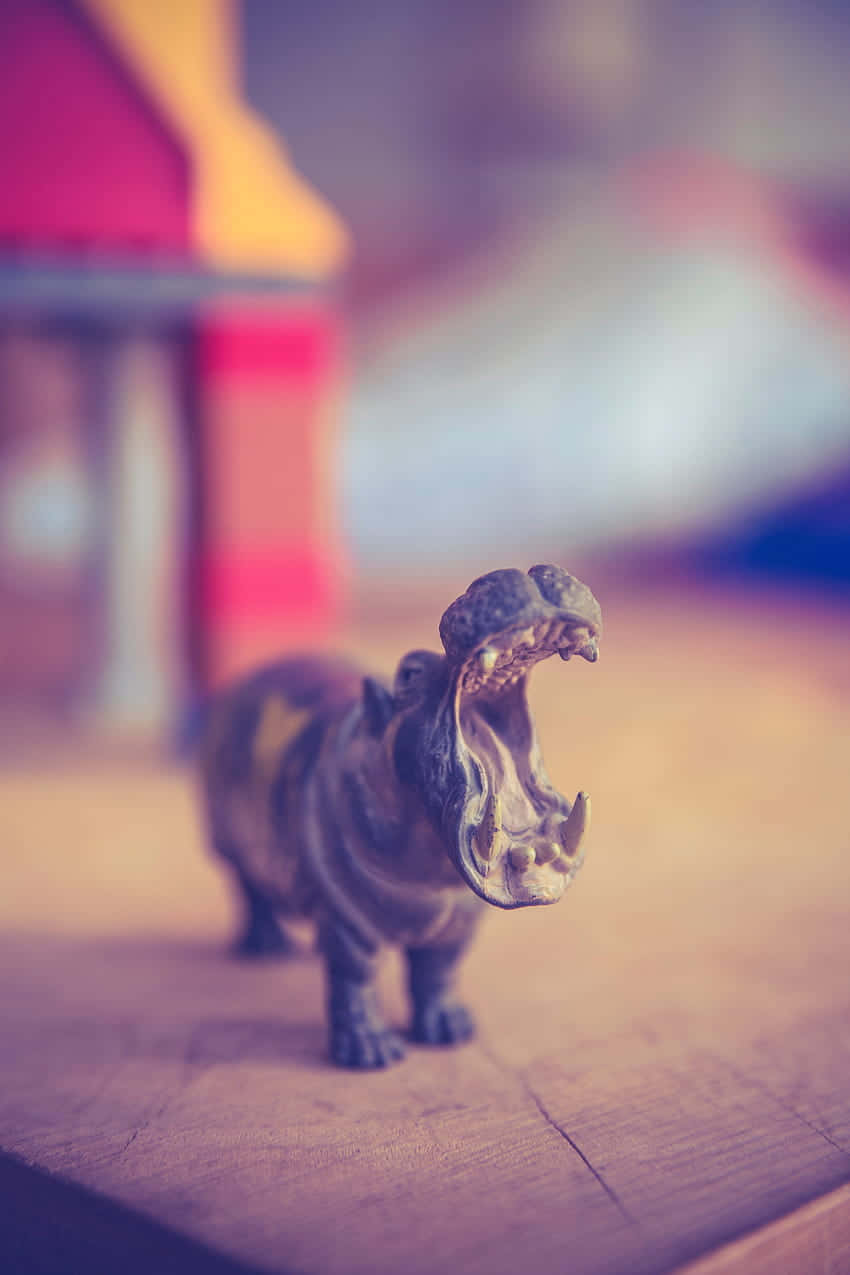 Hippopotamus Figurine Bokeh Background Wallpaper