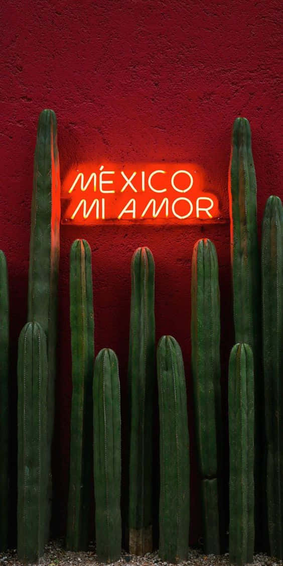 Hispanic Mexico Mi Amor Sign Wallpaper