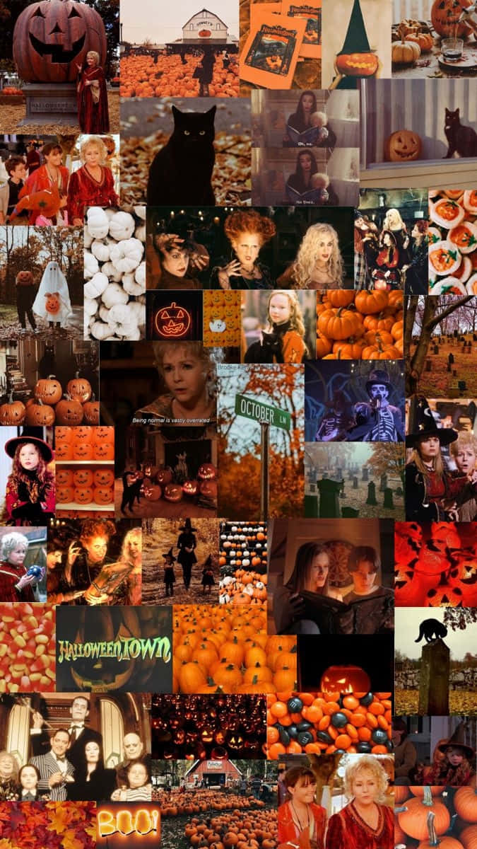 Hocus Pocus Halloween Collage Wallpaper