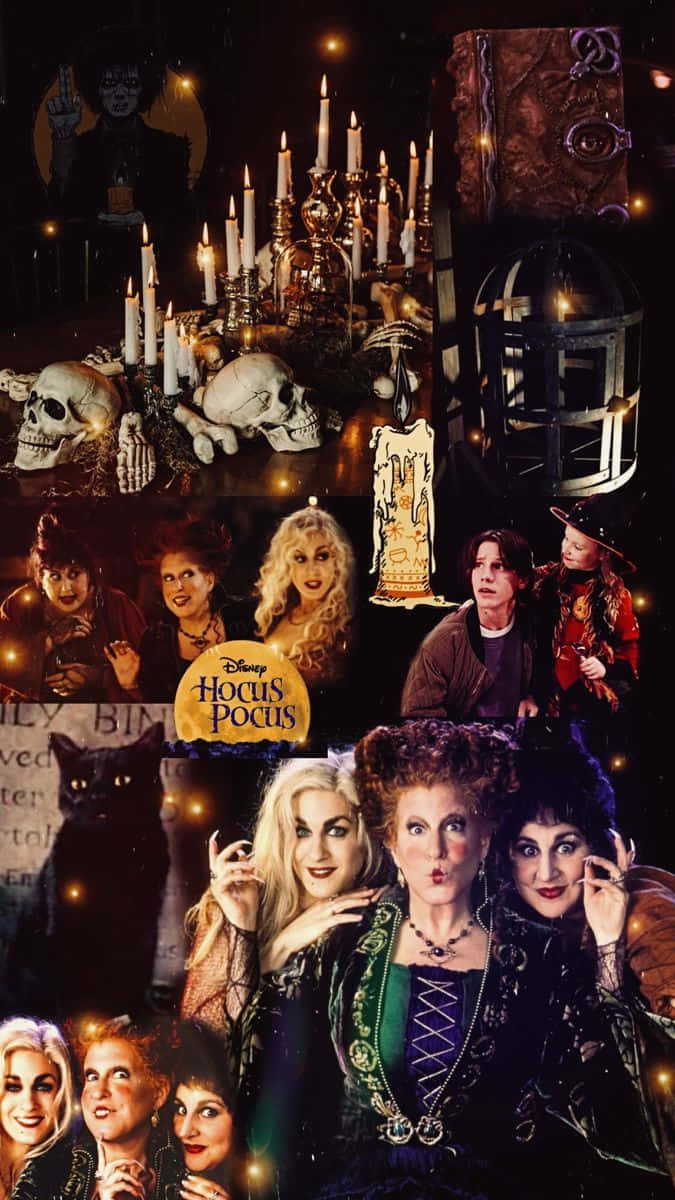 Hocus Pocus Movie Collage Wallpaper